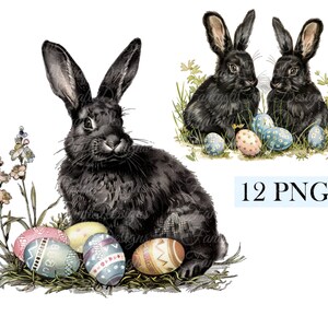 12 Cute Easter Bunny Animal Watercolor Clipart Fluffy Black Rabbit Pack PNG Digital Download 300 DPI Commercial Use Sublimation Image Bundle