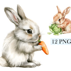 12 niedliche Osterhase Tier Aquarell Clipart Flauschige Kaninchen-Pack PNG Digital Download 300 DPI Kommerzielle Nutzung Sublimation Kunst Bild Bündel