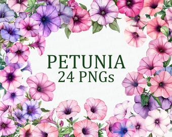 Petunia Flower 24 Floral Clipart Pack Watercolor Pink Petunia Flower Art PNG Digital Download Commercial Use Sublimation Image Bundle