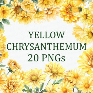 Gele chrysant bloemen 20 bloemen Clipart Pack gele aquarel PNG digitale download DPI commercieel gebruik sublimatie kunst afbeelding bundel