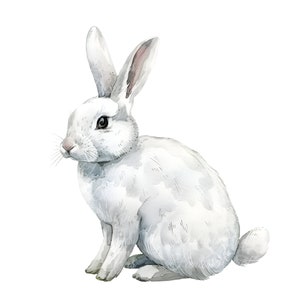 May include: Watercolor illustration of a white rabbit in a seated position. The rabbit has long ears, a small pink nose, and detailed fur texture. The artwork is set against a plain white background, emphasizing the rabbit's soft, gray and white tones.