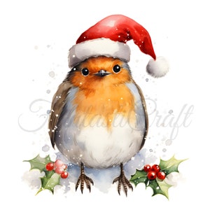 Lot de 12 cliparts de Noël rouge-gorge oiseau de Noël JPG téléchargement numérique 300 DPI à usage commercial papier numérique carte de vœux Art Image Bundle