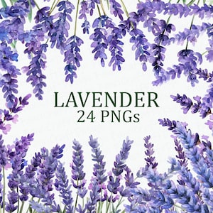 Lavender Flowers 24 Purple Floral Clipart Pack Watercolor Printable PNG Digital Download DPI Commercial Use Sublimation Art Image Bundle