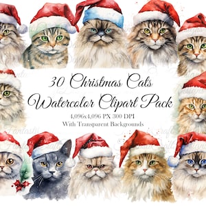 30 Weihnachtskatze niedlich Aquarell Clipart Pack PNG digitaler Download 300 DPI kommerzielle Nutzung Sublimation Urlaub Karte machen Kunst Bild Bundle