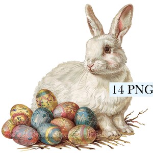 14 Cute Easter Bunny Animal Watercolor Clipart Fluffy White Rabbit Pack PNG Digital Download 300 DPI Commercial Use Sublimation Image Bundle
