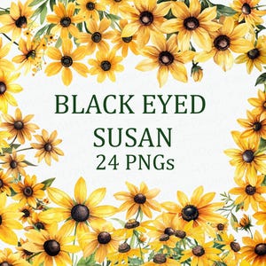 Black Eyed Susan Flowers 24 Floral Clipart Pack Yellow Watercolor PNG Digital Download DPI Commercial Use Sublimation Art Image Bundle