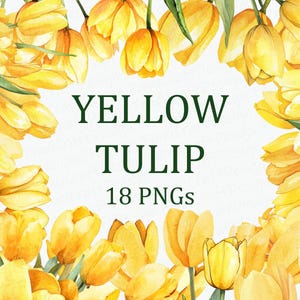 Gele tulp bloemen 18 bloemen Clipart Pack afdrukbare bloem aquarel PNG digitale download DPI commercieel gebruik sublimatie kunst afbeelding bundel