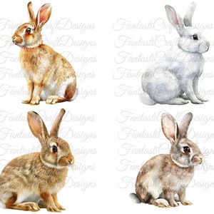 May include: Watercolor illustrations of four rabbits in various shades of brown and white. Each rabbit is depicted in a seated position, showcasing their long ears and fluffy fur. The artwork has a soft, artistic style, perfect for Easter or spring-themed crafts.