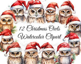12 Owl Christmas Watercolor Clipart Pack PNG Digital Download 300 DPI Commercial Use Sublimation Winter Holiday Card Making Art Image Bundle