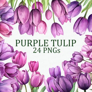 Fiori di tulipano viola 24 Pacchetto di clipart floreali viola Acquerello stampabile PNG Download digitale DPI Uso commerciale Pacchetto di immagini artistiche a sublimazione