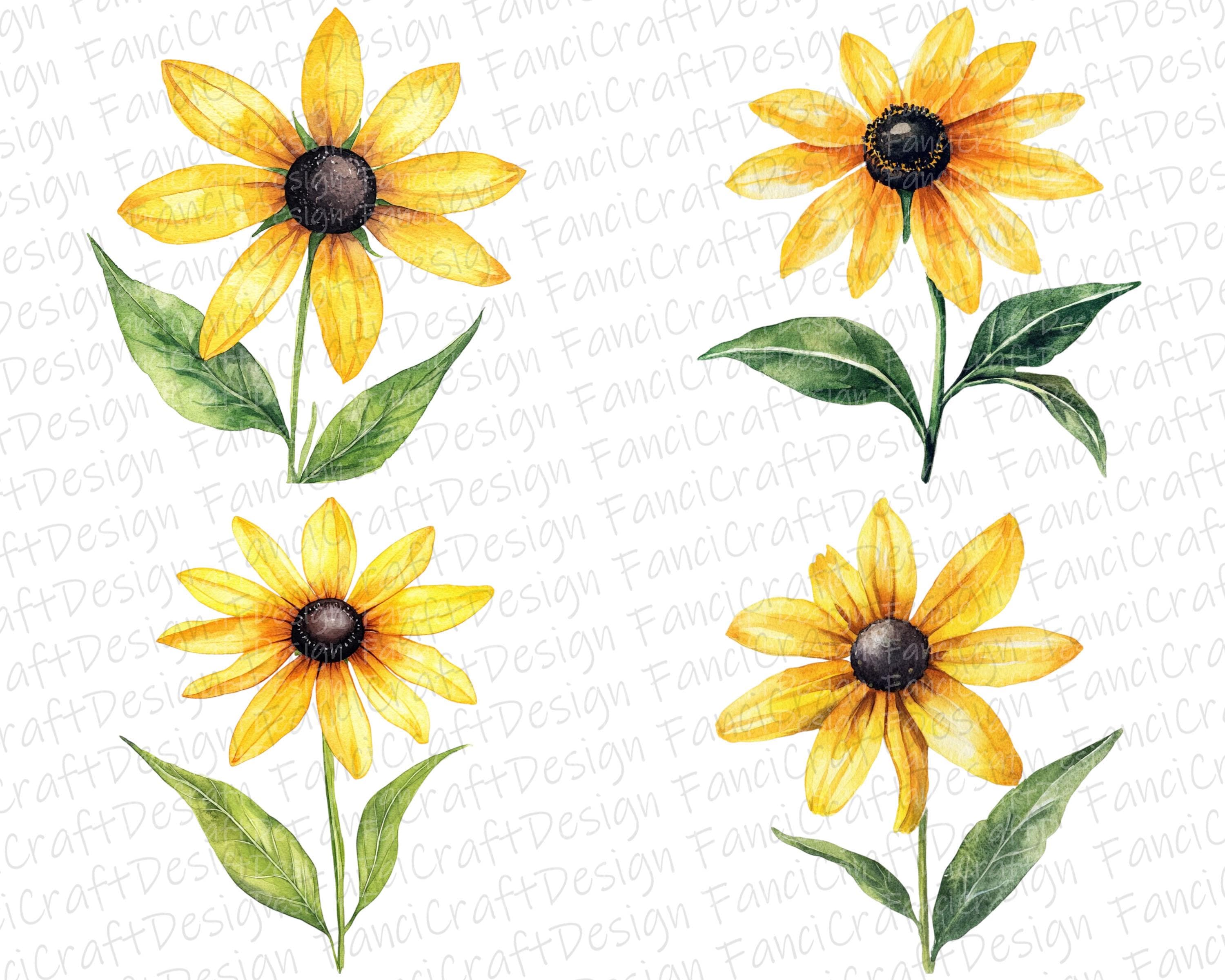Black Eyed Susan Flowers 24 Floral Clipart Pack Yellow Watercolor PNG ...