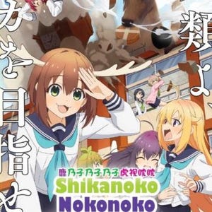 DVD Il mio amico cervo Nokotan Vol.1-12 END Doppiato in inglese per tutte le regioni