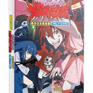 DVD Anime Kinsou No Vermeil Gakeppuchi Series (1-12 End) English