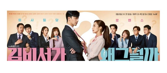 DVD 韓国ドラマ キム秘書がなぜそうか 英語字幕 全地域送料無料 - Etsy