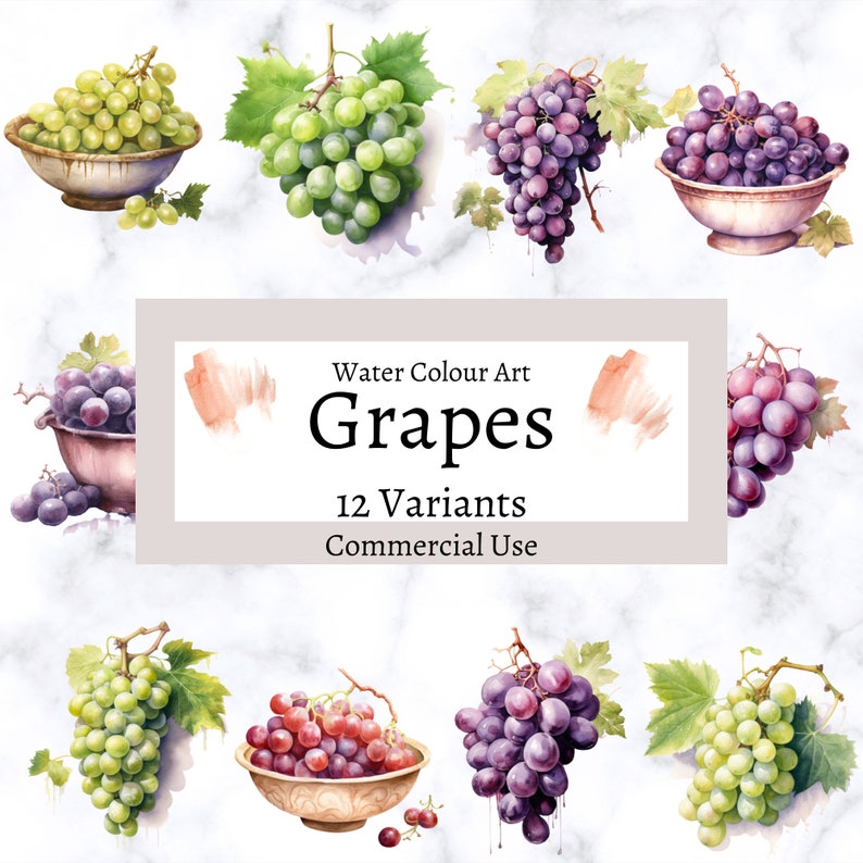 Watercolor Grapes Clipart Fruit Clip Art for Commercial Use Etsy