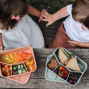 Spoondrift Eco-Friendly Leak-Proof Silicone Bento Box Lunchbox, For Child And Adult , 4 Compartment