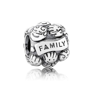 pandora sterling silver charm bead love and family