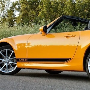 Universal Car Stripes, Decals, stickers, vinyl graphics, vinyl decals, can be made with any wording, quality vinyl graphics.