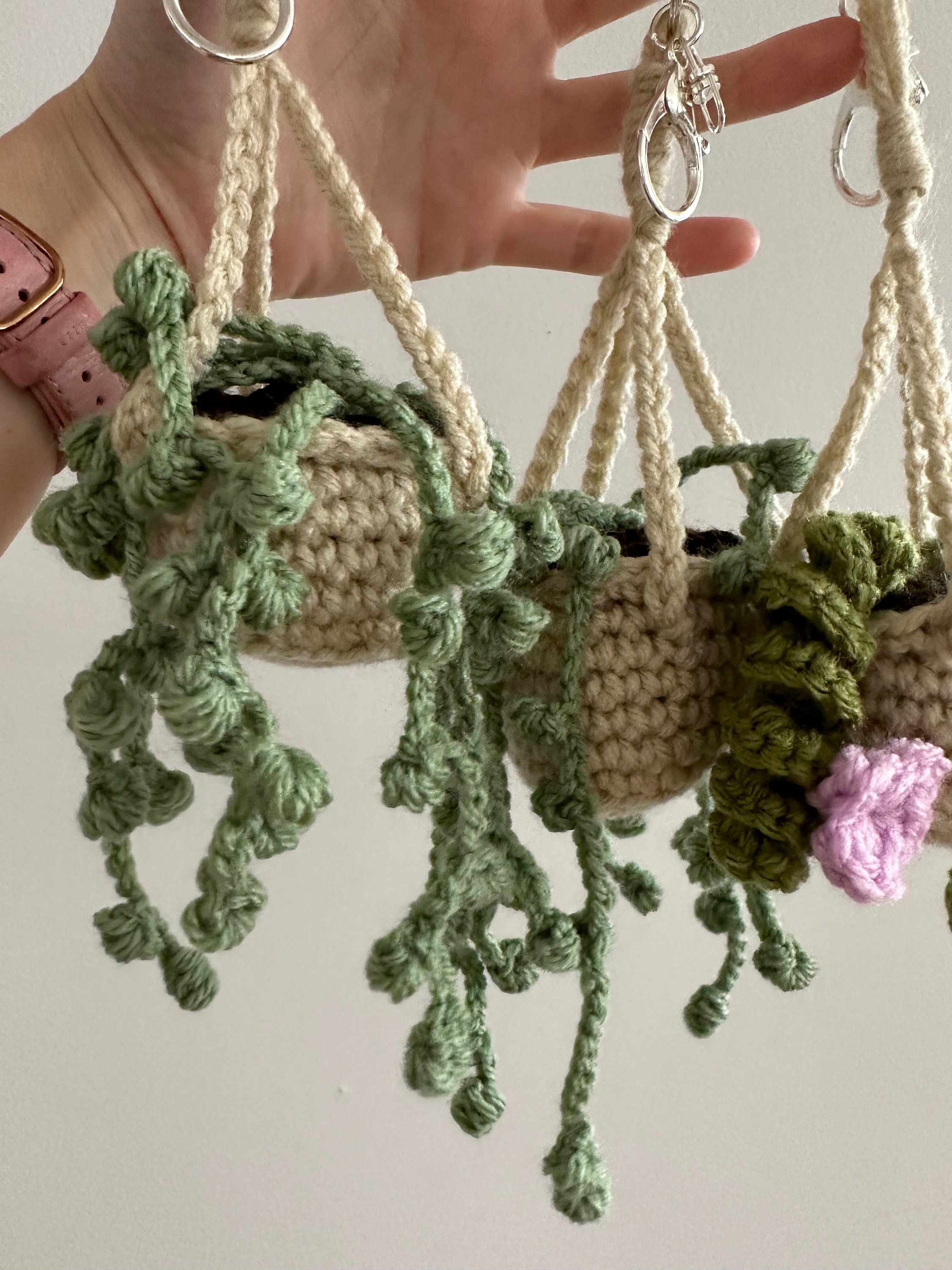 Hanging Potted Plants Keychain. 'string of Pearls' and 'hoya Hindu Rope