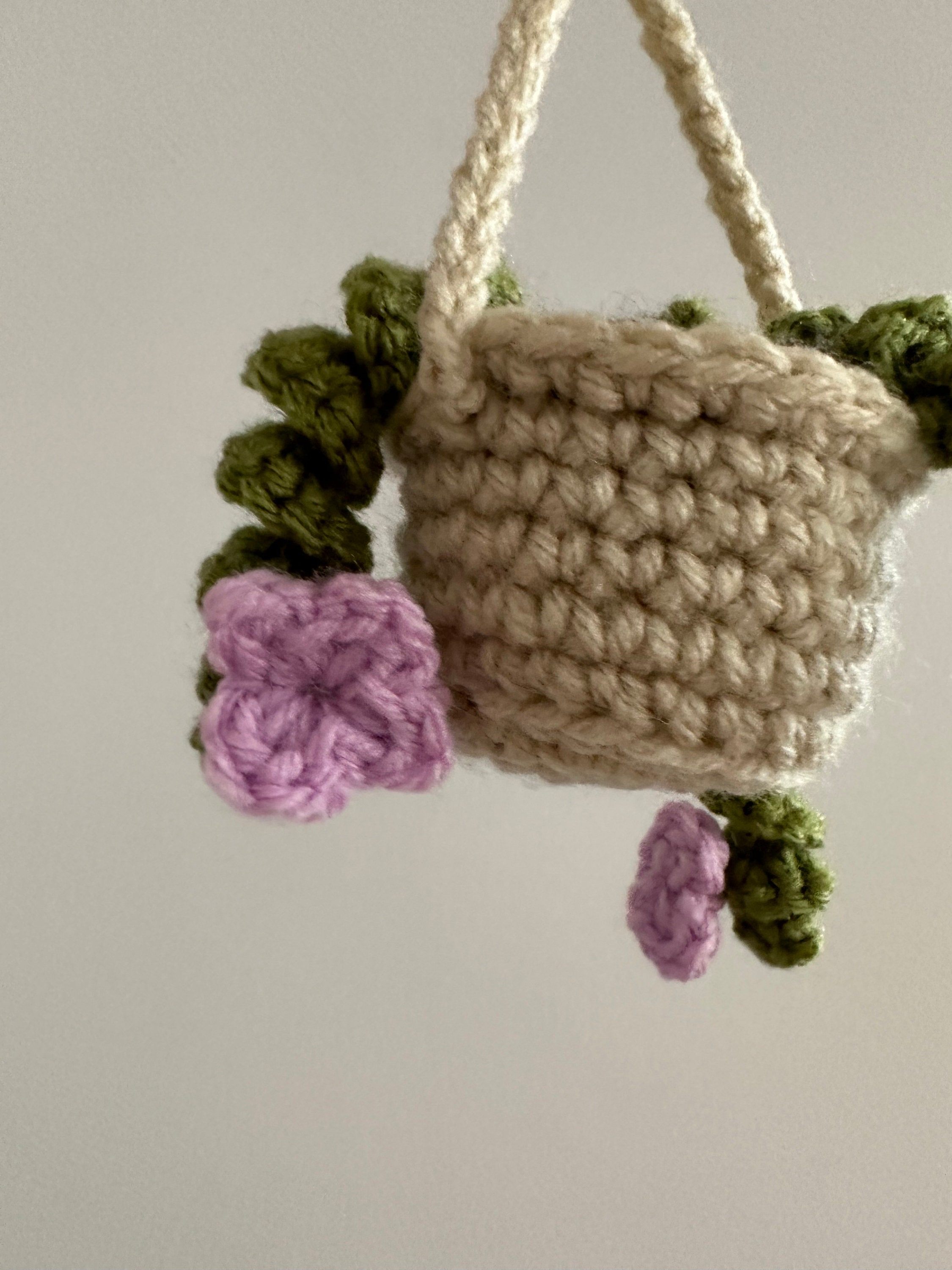 Hanging Potted Plants Keychain. 'string of Pearls' and 'hoya Hindu Rope