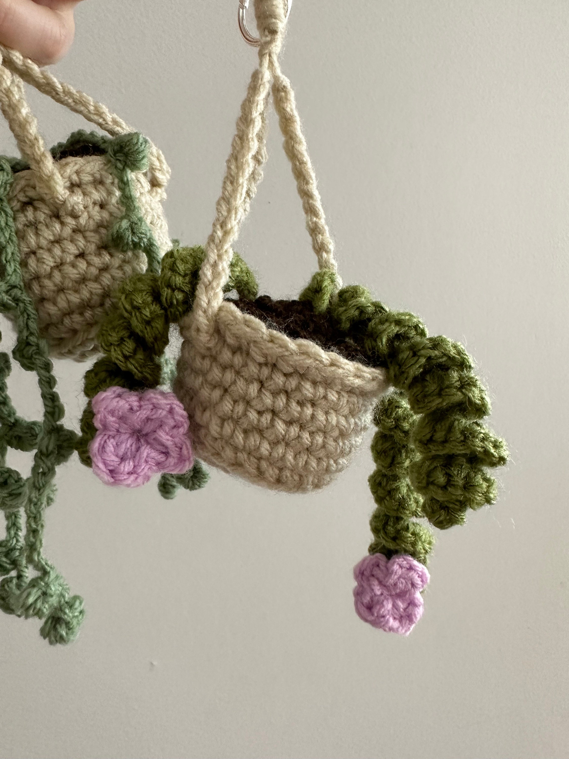 Hanging Potted Plants Keychain. 'string of Pearls' and 'hoya Hindu Rope