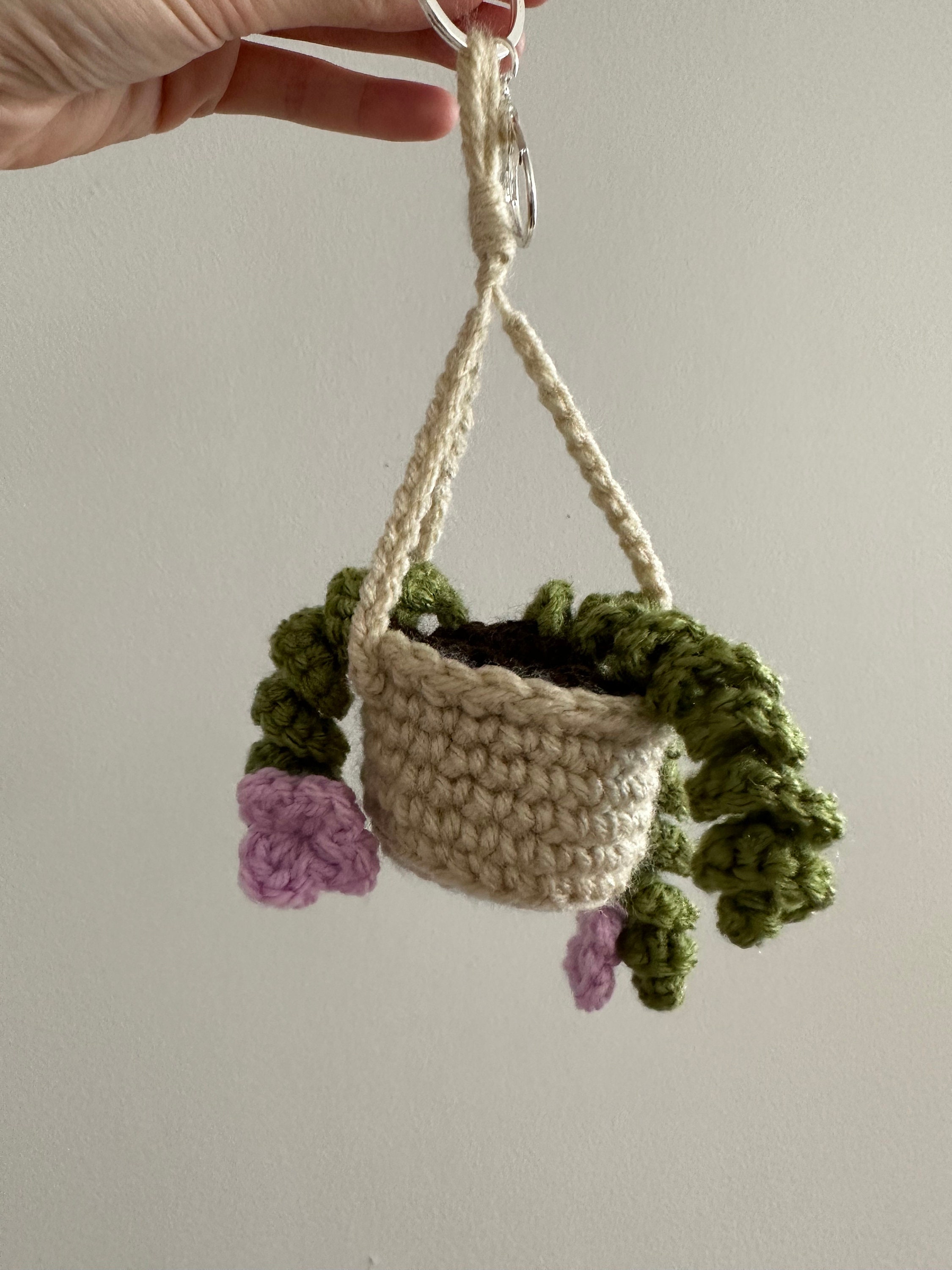 Hanging Potted Plants Keychain. 'string of Pearls' and 'hoya Hindu Rope