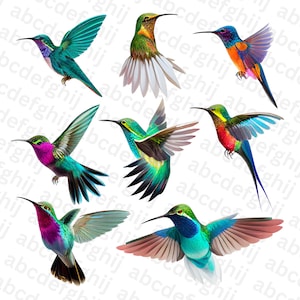 Hummingbird - Hummingbird art, Hummingbird svg, hummingbird png, hummingbird jpg, Hummingbird cricut, Hummingbird design bundle