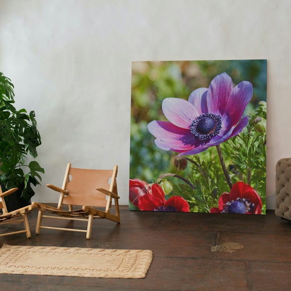 Printable Anemone Coronaria in Garden Flower Wallpaper, Digital Download, Wall Art