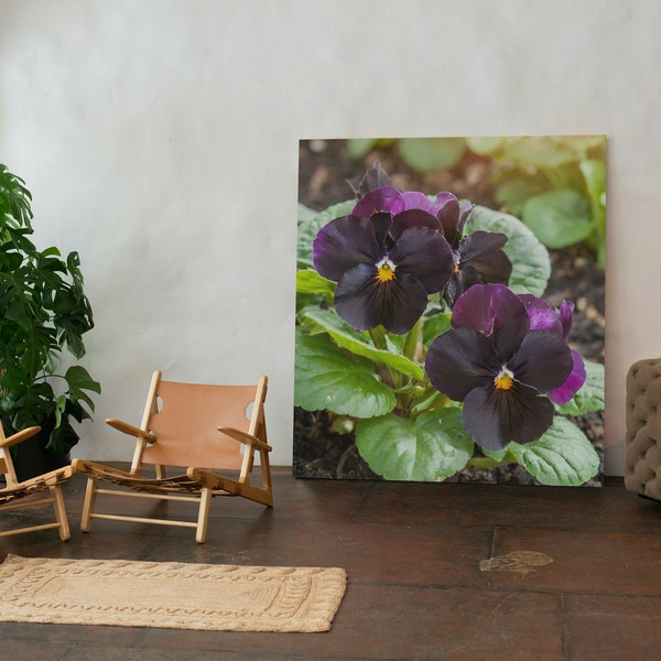 Printable African Violets Saintpaulia Flower in Garden Wallpaper, Digital Download, Wall Art