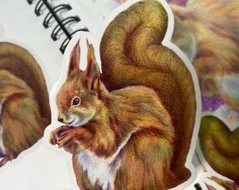 RED SQUIRREL STICKER / Hand Drawn Wildlife Illustration as Large Transparent Art Sticker - Waterproof Durable - Decorate Journals Laptops