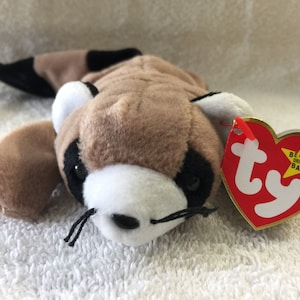 Ringo the Raccoon