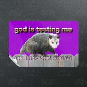 Dios me está probando y no he estudiado zarigüeya Word Art Cringe Meme Parody Novelty Morale Sticker, Colección de stickers de Lumola Studio