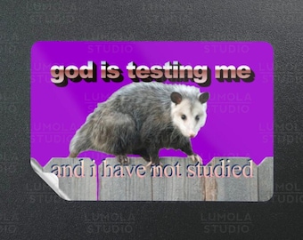 Dios me está probando y no he estudiado zarigüeya Word Art Cringe Meme Parody Novelty Morale Sticker, Colección de stickers de Lumola Studio