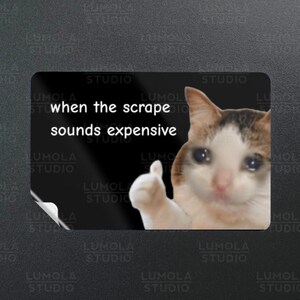 May include: A white cat with brown and black markings is giving a thumbs up while looking sad. The cat is in front of a black background with white text that says "when the scrape sounds expensive".