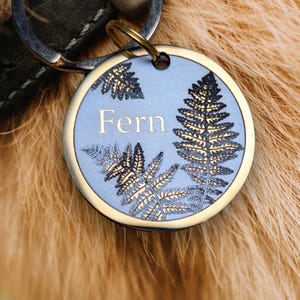 Può includere: Un medaglietta rotonda per animali domestici, azzurra, con bordo e anello dorati. Presenta disegni di foglie di felce e il nome "Fern" in lettere dorate. La medaglietta è attaccata a un collare in pelle verde scuro.