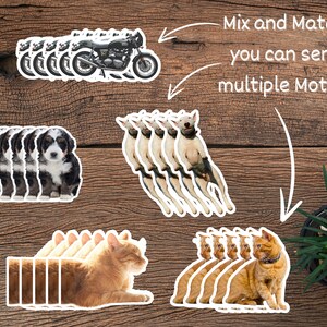 May include: A set of stickers featuring various animal and vehicle motifs. The stickers are arranged in rows and include images of motorcycles, dogs, cats, and bulldogs. The text "Mix and Match, you can send multiple Motifs!" is written above the stickers.