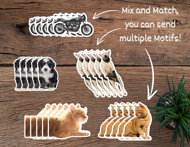 May include: A set of stickers featuring various animal and vehicle motifs. The stickers are arranged in rows and include images of motorcycles, dogs, cats, and bulldogs. The text "Mix and Match, you can send multiple Motifs!" is written above the stickers.