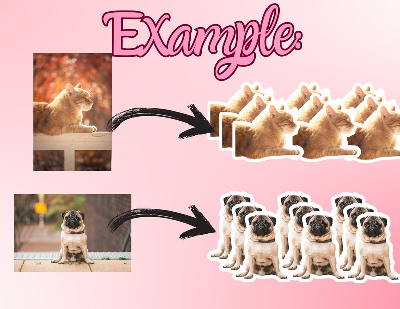 May include: A collage of two images showing the process of creating multiple copies of an image. The top image shows a single orange tabby cat lying on a white railing. The bottom image shows a single pug dog sitting on a sidewalk. The right side of the collage shows multiple copies of the cat and dog images.