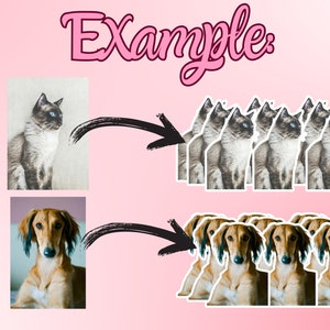 May include: A digital illustration showing how to create multiple copies of an image. The original image on the left shows a cat, and the right image shows multiple copies of the cat. The bottom row shows the same process with a dog.