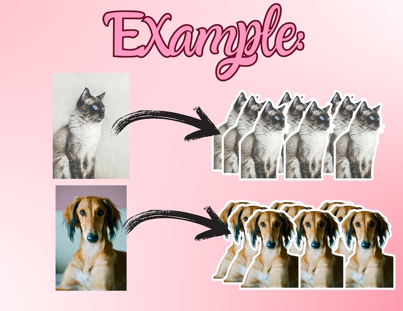 May include: A digital illustration showing how to create multiple copies of an image. The original image on the left shows a cat, and the right image shows multiple copies of the cat. The bottom row shows the same process with a dog.