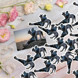 May include: A collage of images featuring a person holding a blue heeler dog in their arms. The images are arranged in a repeating pattern on a pink and white marble background.