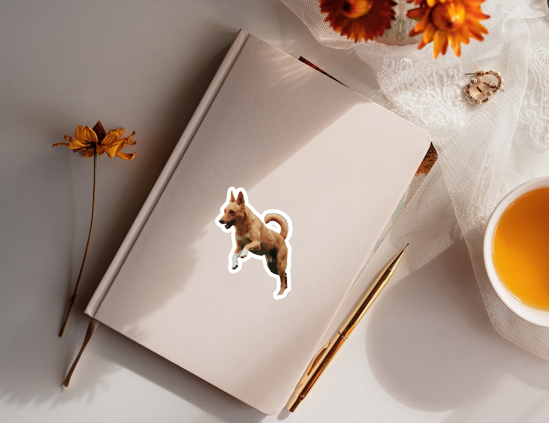 Custom Stickers, Personalized Stickers, Custom Vinyl Stickers, Your Pictures as Stickers, Waterproof, Individual Stickers, Laptop Stickers image 6