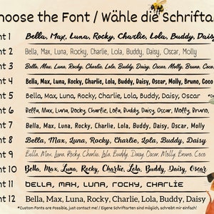Pu&ograve; includere: Immagine che mostra 12 opzioni di carattere con vari nomi, insieme al testo "Choose the Font / W&auml;hle die Schriftart". Un'ape, un cane e un gatto dei cartoni animati sono presenti nell'immagine.