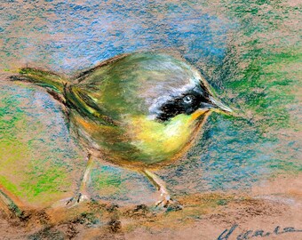 Bird Painting Wildlife Original Art Oil Pastel Animal Drawing Gift 8x10'' by StudioMuura