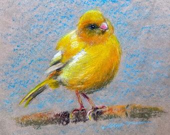 Canary Painting Bird Original Art Animal Oil Pastel Drawing Yellow Gift 8x10'' by Muura