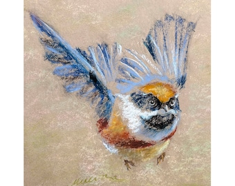 Flying Bird Painting Animal Original Art Black-throated Tit Oil Pastel Drawing Gift 8x10 by StudioMuura