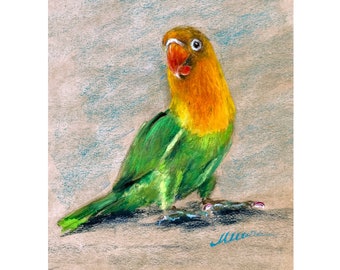 Papagei Malerei Vogel Original Kunst Lovebird Öl Pastell Zeichnung Geschenk 8 '' x 10 '' von StudioMuura