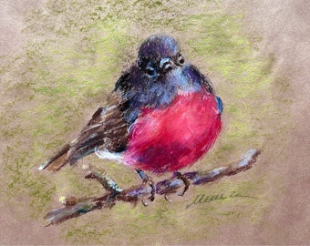 Pink Robin Painting Bird Original Art Oil Pastel Drawing gift 8''x10'' by StudioMuura