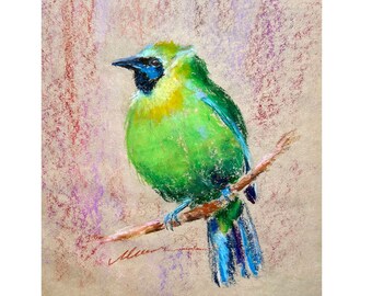 Bird Painting Green Bird Original Art Animal Oil Pastel Drawing gift 8''x10'' by Muura