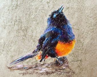 Bird Painting Animal Original Art American Black Bird Oil Pastel Drawing Gift 8x10'' by Muura